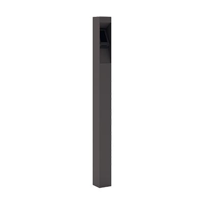 Pay Station